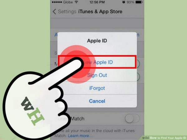 Forget Password Apple ID