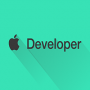 توسعه دهنده دولوپر